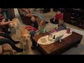 FamilyOFive Kids Talk About Acting April 23 2017 Mirror