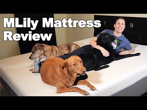 7 Best Knee Strengthening Exercises Ask Doctor Jo