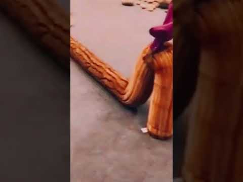 when you try to pick up a stick after taking drugs #trip #wood  #acid #walkthrough