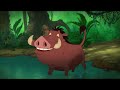 Timon Pumbaa Safety Smart In The Water