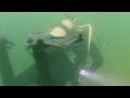 Picture taken during the dive