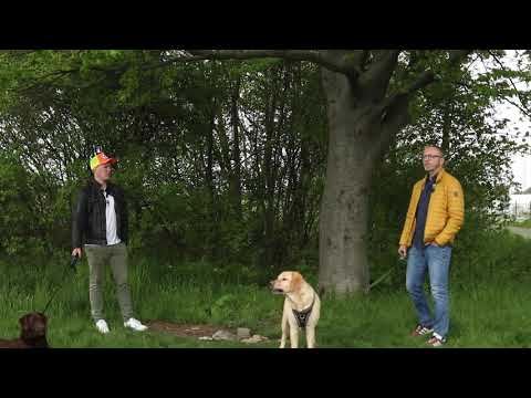 Neue Sitzbank im Goslarer Ortsteil Jerstedt | GOSLAR.direct #wirlebengoslar