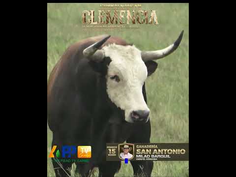San Antonio y sus toros bravos para Clemencia 2026