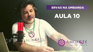 CURSO DE ERVAS NA UMBANDA | AULA 10  ERVA-DOCE