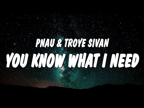 PNAU & Troye Sivan - You Know What I Need (Lyrics)