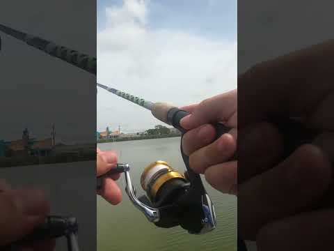 Is the $20￼ shimano FX trash or treasure?