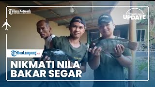 TRIBUN TRAVEL UPDATE: Menikmati Nila Bakar Segar di Pondok Hambakung, Ikan Jaring Sendiri di Kolam