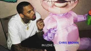 Chris Brown - In Love With The Bitches (Solo)