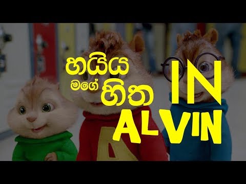 haiya mage hitha (Raveen Tharuka)-In Alvin sound.