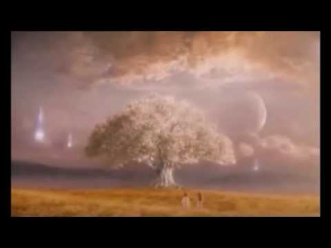 5th Dimension video