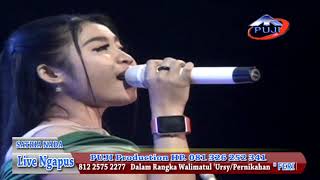 Download lagu Satria Nada 'GELANG ALIT' Live Ngapus Japah mp3