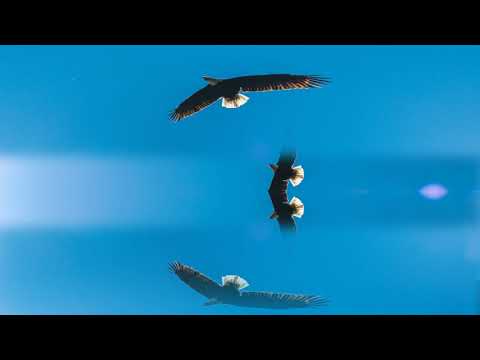 Skip Marley ft Bob Marley - Higher Place (Lyrics CC)