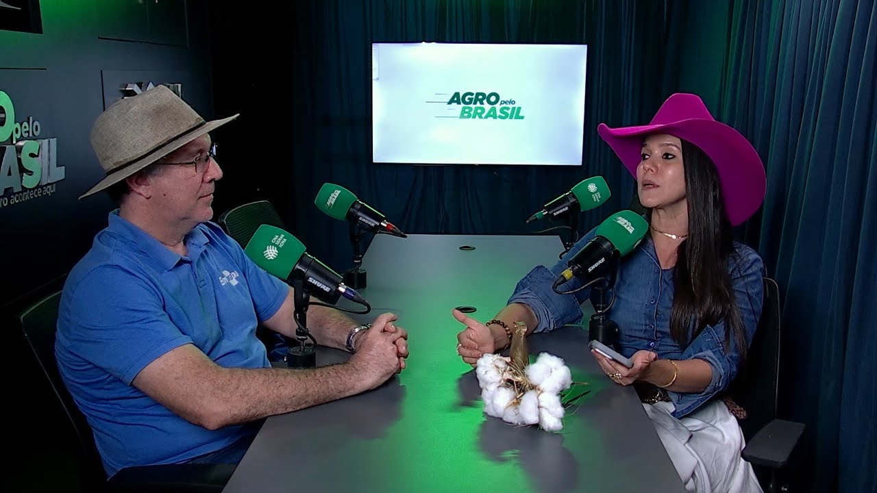 O renascimento do algodão no Ceará: ciência e tecnologia em um novo ciclo do ouro branco | Expoca