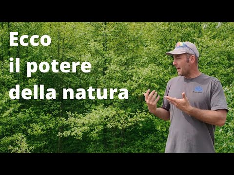 Il potere della natura
