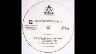 (1996) Me&#39;Shell NdegéOcello - Who Is He And What Is He To You [Danny Tenaglia Twilo RMX]