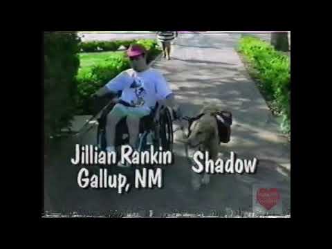 The Family Channel | Dog's Best Friend | Home Video Contest | 1997