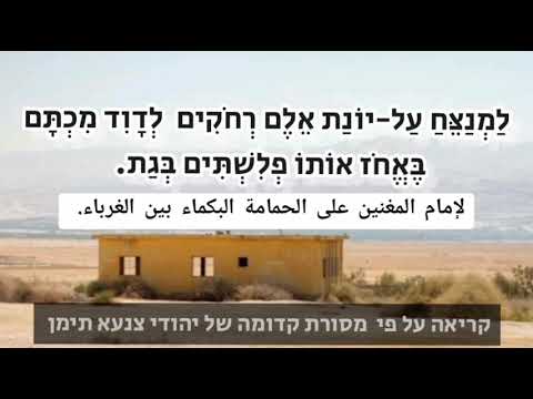 תהלים נ"ו 🕊🎼 על יונת אלם רחוקים 🌴🌴 المزمور رقم 56 🕊🎼 Psalm56 - Yair haddad