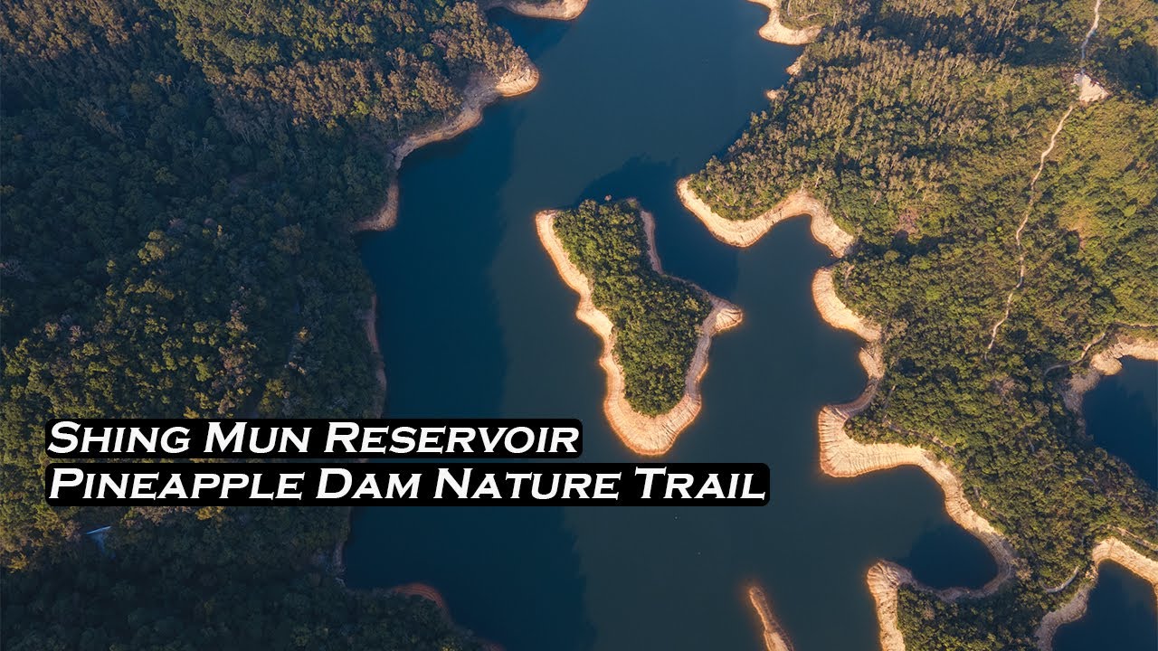 See the playful monkeys and wildlife around Pineapple Dam.