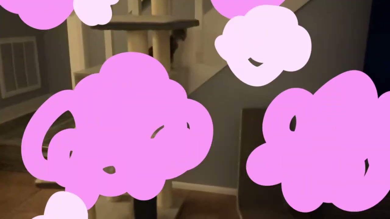 Enlarge Marge, a Adoptable mixed breed in San Antonio, TX video 4/4