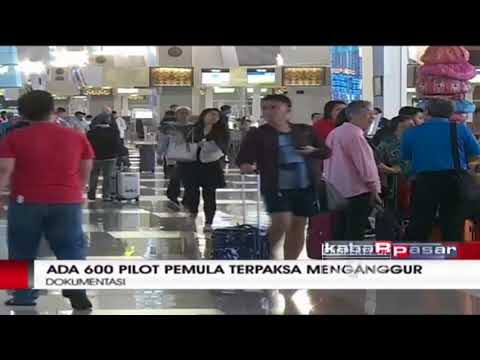 Ratusan Pilot Nganggur, Menhub akan Kurangi Sekolah Penerbangan