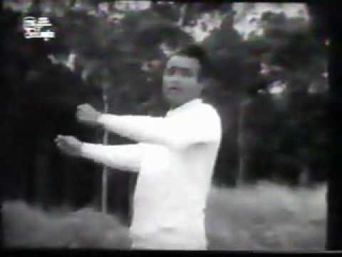 download lagu mp3 mp4 Adare Hr, download lagu Adare Hr gratis, unduh video klip Adare Hr