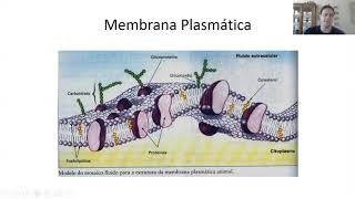 Farmacocinética - Absorção