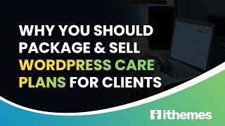 Why You Should Package & Sell WordPress Care Plans For Clients