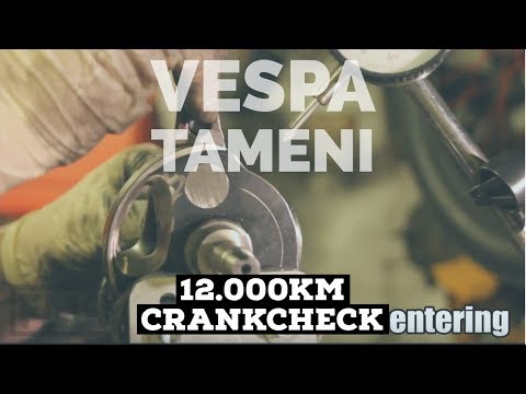 vespa crankCHECK after 12.000km / TAMENI 60mm / malossi sport 221 / FMPguides