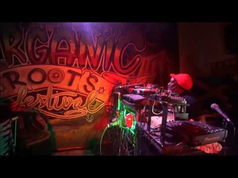 Channel One Soundsystem-Organic Roots Sound System Session