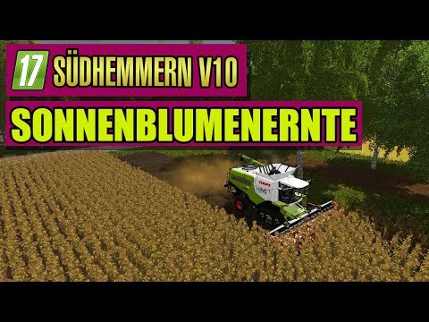 LS17 Südhmmern 10.0 #51 - Sonnenblumenernte - Landwirtschaft Simulator 17