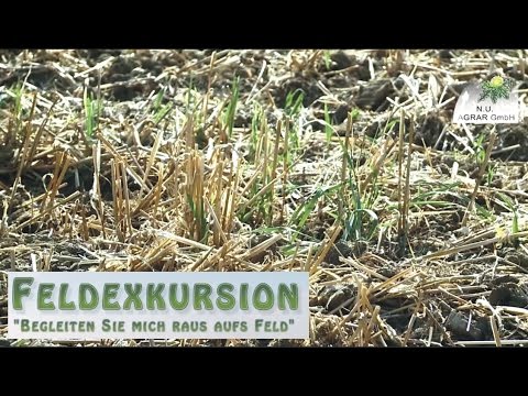 18. Feldexkursion: staubtrockener Boden - wie geht man damit um?