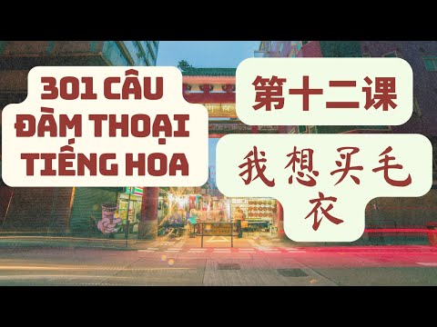 [RE-UP 2020 Giáo trình 301 Câu đàm thoại tiếng Hoa] Capítulo 12 - Gaso Comprando Roupas