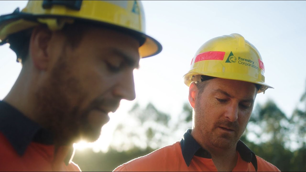 Careers at Forestry Corporation of NSW