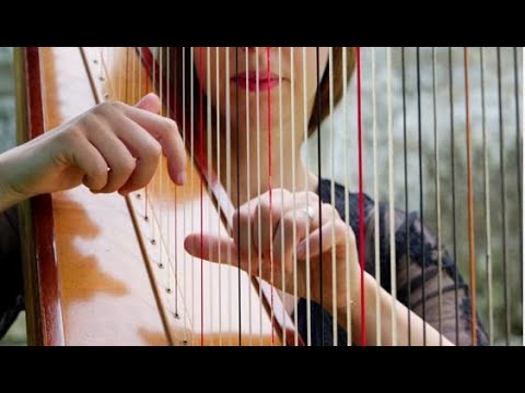 HARP MUSIC AND RAIN - Relaxing, Instrumental Harp Music, Slow Motion Raindrops Falling.