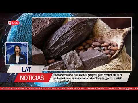 Beni: El Cacao Silvestre impulsa la Economía Verde y Exportaciones