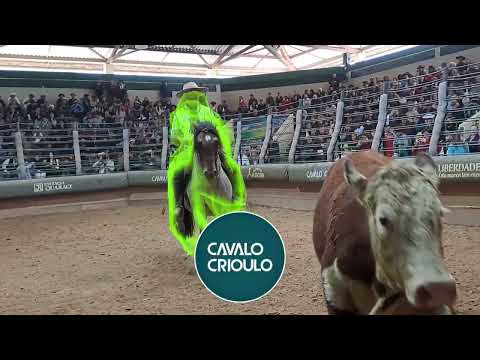 Freio de Ouro 2023 !!! acesse nosso canal @Cosasdelcampo-cavalocrioulo