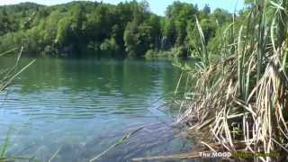 Keep This Love Alive