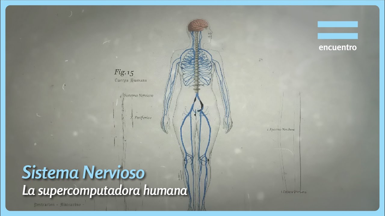 Sistemas. Cuerpo Humano: Nervioso (capítulo completo) - Canal Encuentro HD