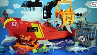 Animals Planet Video Watch HD Mp4 Videos Download Free Animals Planet Video Watch HD Mp4 Videos Download Free