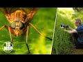 Macro Photography: A Garden Safari Guide | Take and Make Great Photography with Gavin Hoey