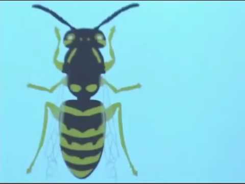 Shree rk interactive whiteboard, <150 w