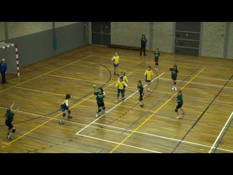 C3 SITTARDIA - MINOR