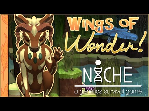 Search for the Golden Feather!! 🐦Niche: Wings of Wonder • #1