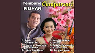 Download lagu Taman Jurug mp3