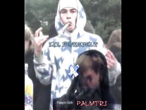 palmtri x lil fendibelt - go!