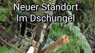Barfuss im Dschungel. Suche nach neuen Ort für meine Wildkamera - verbrennt mich eine Pflanze.