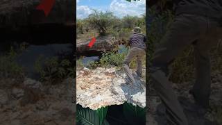 Download lagu Try Throwing Wasp Nest #shorts #wasp #nest mp3 Download lagu Try Throwing Wasp Nest #shorts #wasp #nest mp3