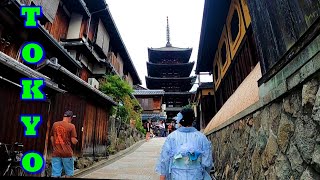 Tokyo Japan Airport Arrival Through Immigration Customs Tips What We Experienced Things To Know