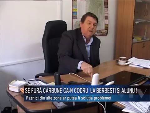Se fura ca-n codru la Berbesti si Alunu!