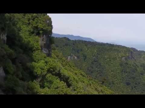 Paparoa National Park